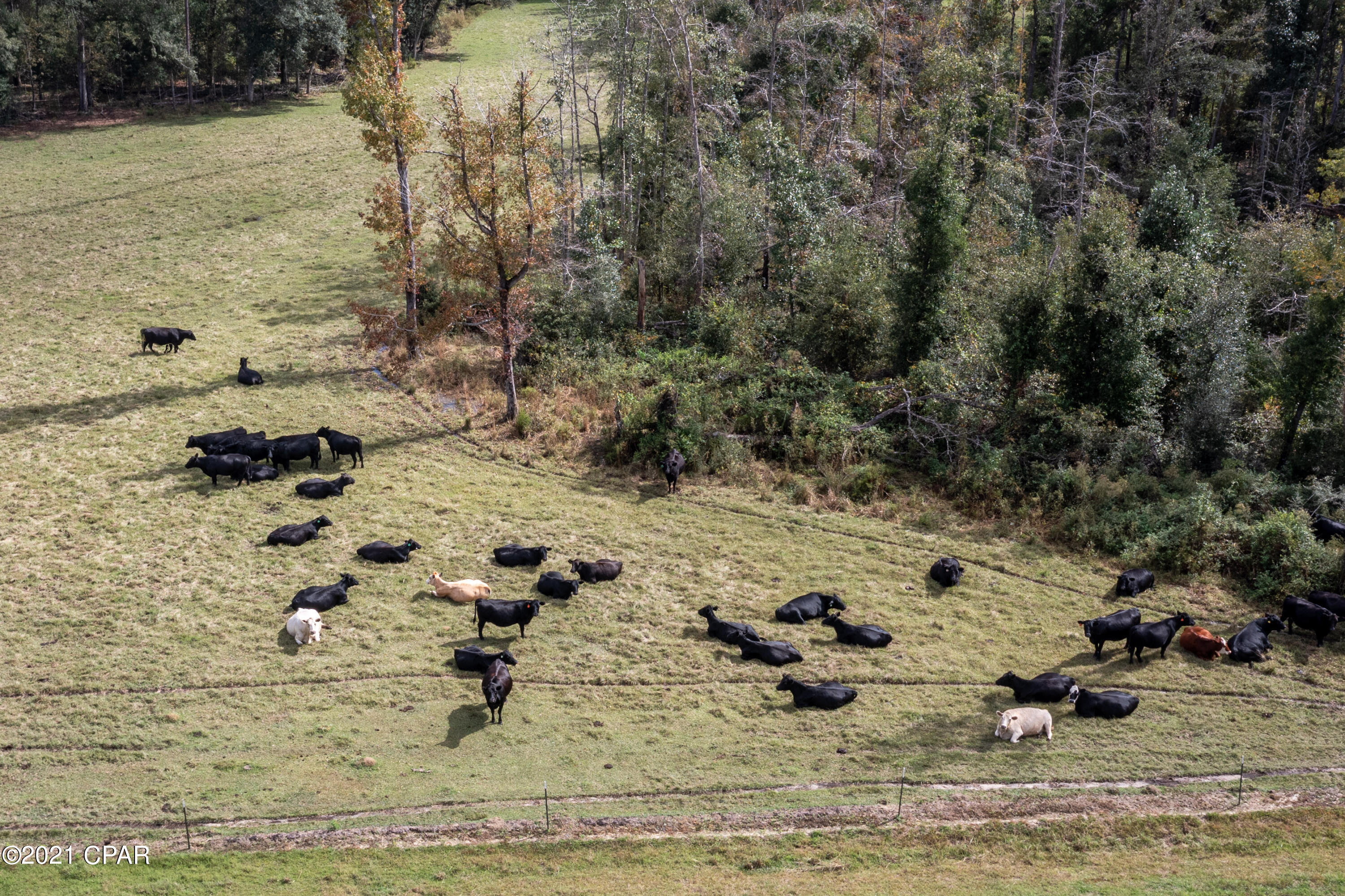 [No Recorded Subdiv] - Land