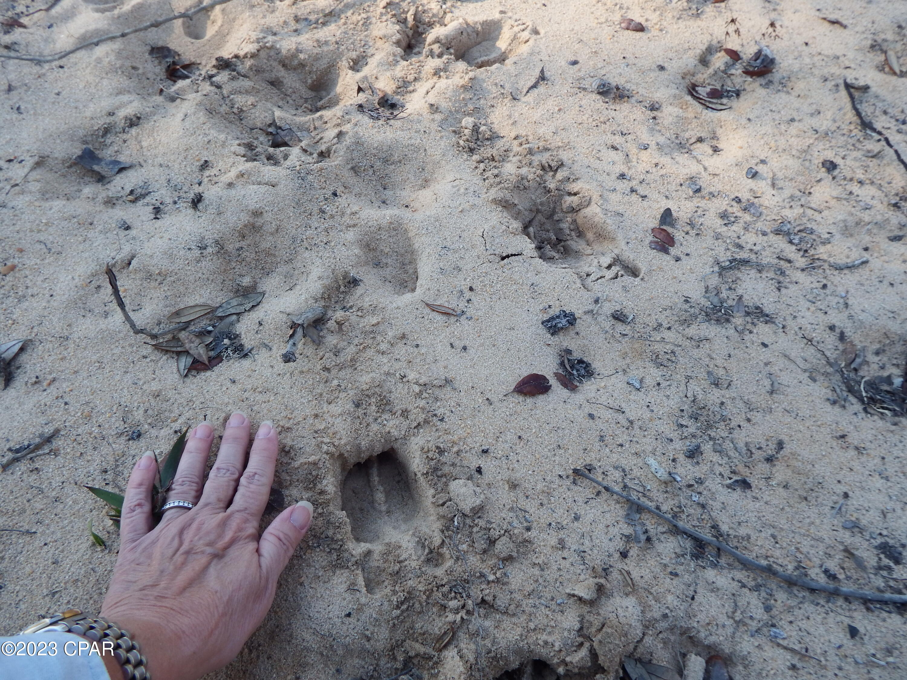 [No Recorded Subdiv] - Land