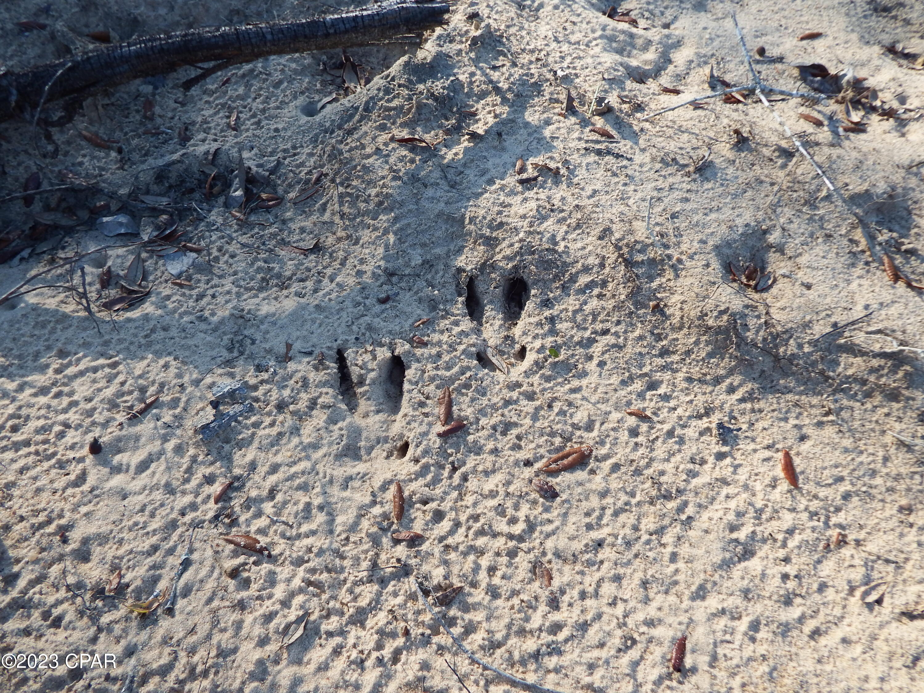 [No Recorded Subdiv] - Land