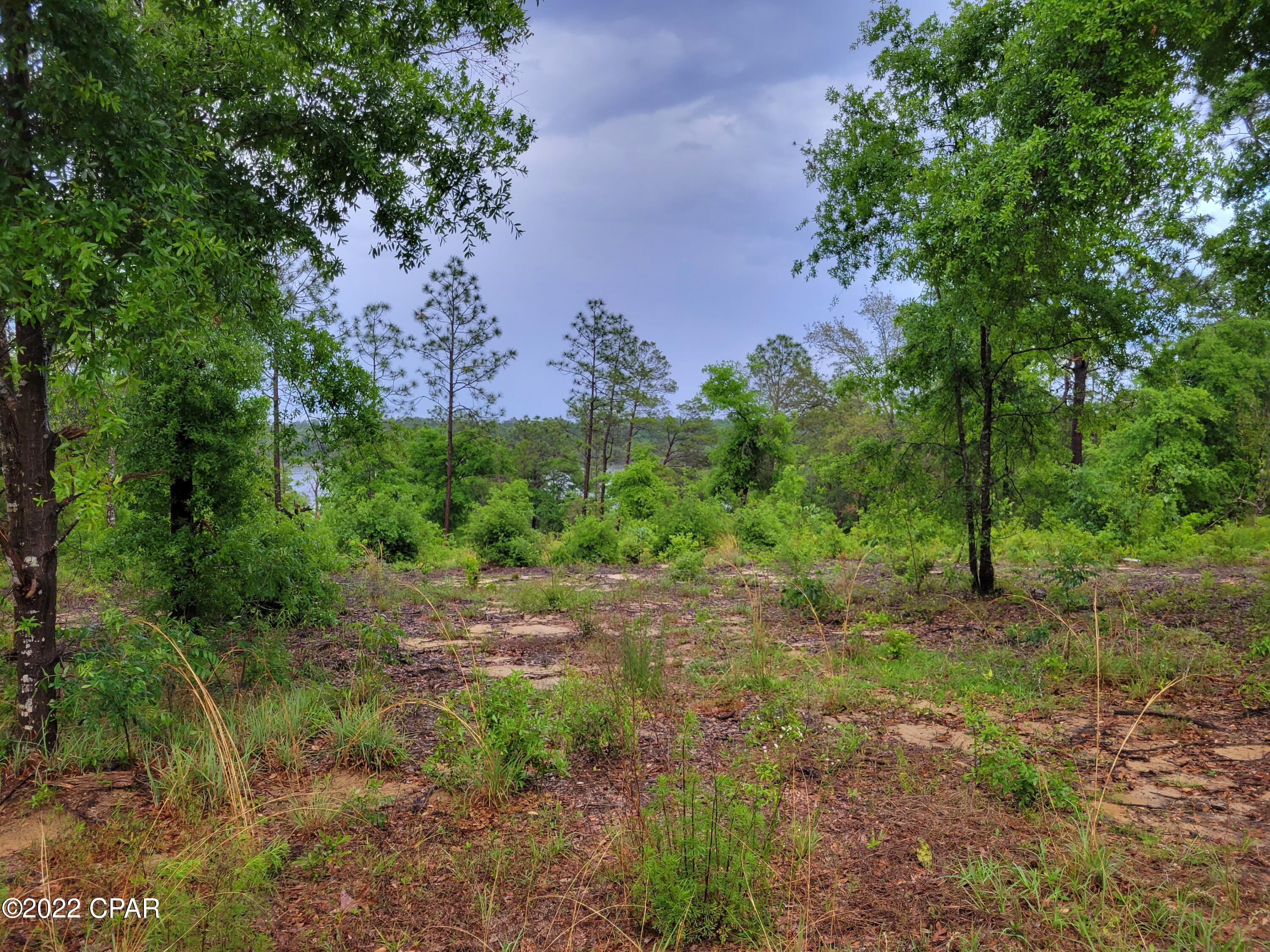 Leisure Lakes - Land