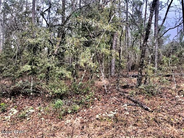 Compass Lake Hills Unit 5 - Land