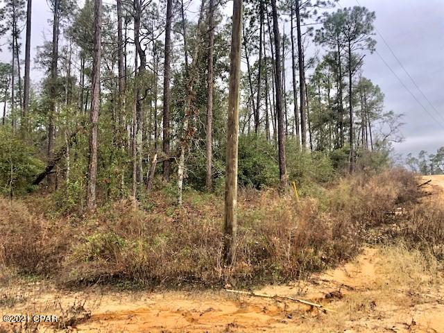 Compass Lake Hills Unit 5 - Land