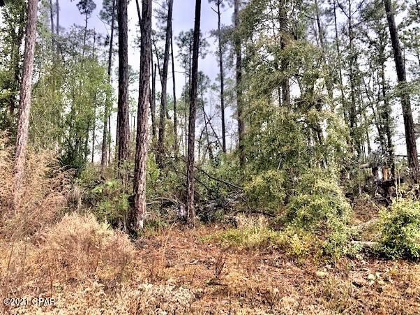 Compass Lake Hills Unit 5 - Land