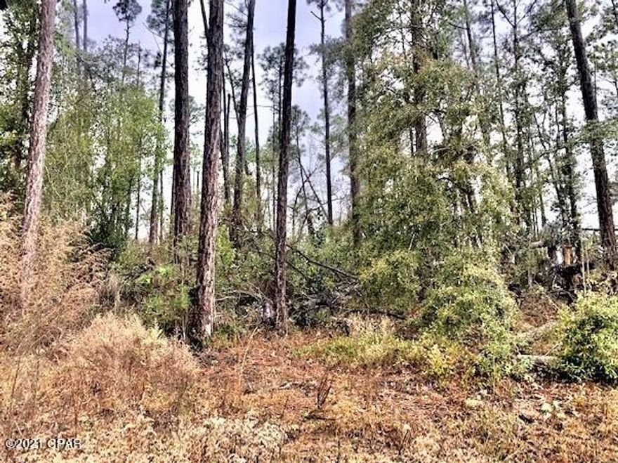 Excellent corner lot in beautiful Compass Lake Hills.  Lot is high and dry and you have a view of McCormick Lake that is across the street.   With lot ownership you have access to two lakes, clubhouse facilities, golf driving range, RV parking facilities, cabin rentals and much more. You have easy access to go south to Panama City on the coast and to the north to Marianna for shopping.