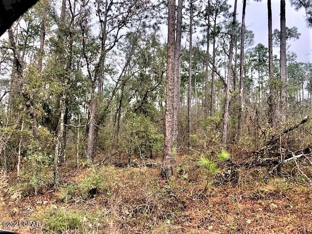 Compass Lake Hills Unit 5 - Land