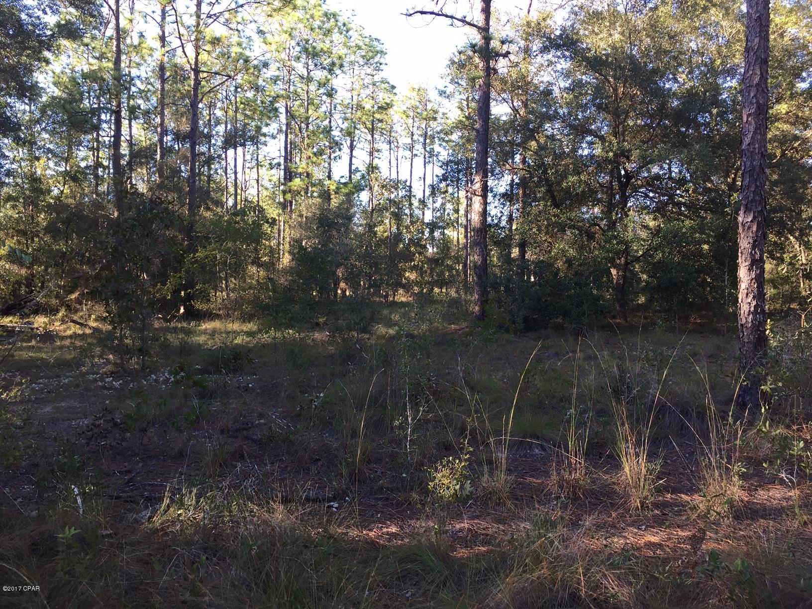 Leisure Lakes - Land