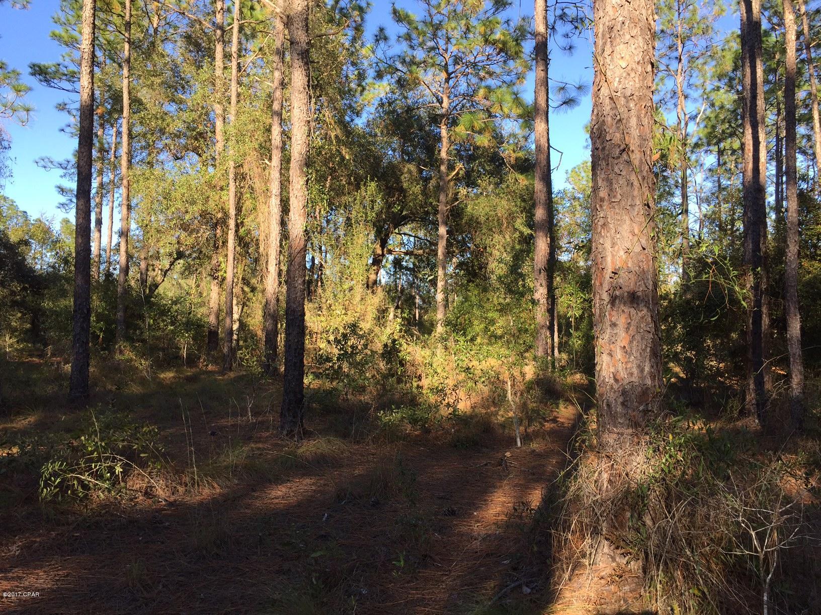 Leisure Lakes - Land