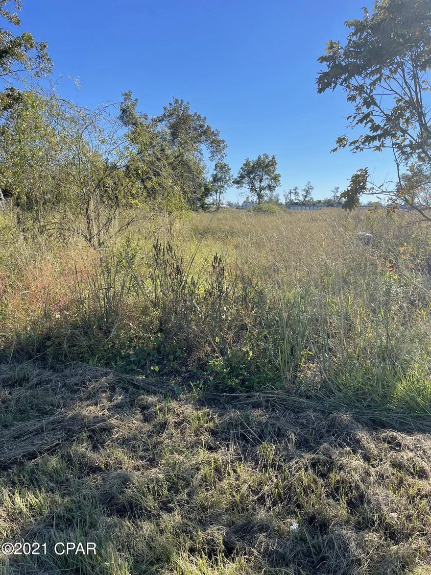 Perfect location for you new homesite! Mobile homes welcome. This lot, perfectly located on a paved road in the cozy and comfortable community of Altha, has a well and septic in place. Schedule to take a look today! OWNER FINANCING AVAILABLE