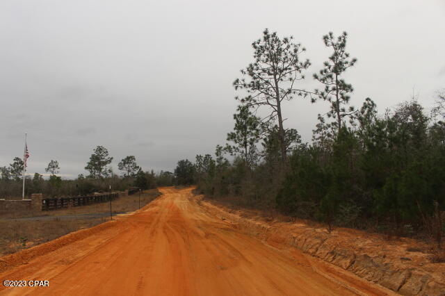 Buckhorn Creek - Land