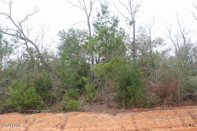 Buckhorn Creek - Land