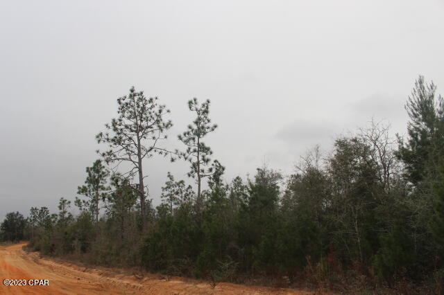 Buckhorn Creek - Land