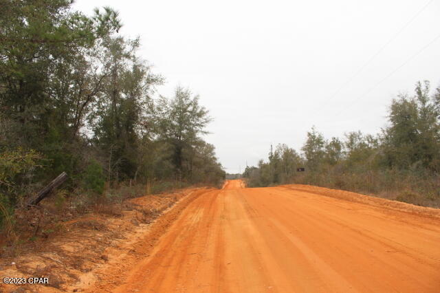 Buckhorn Creek - Land