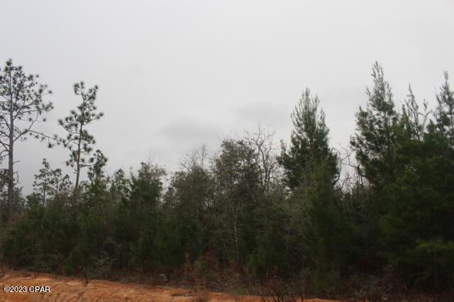 Buckhorn Creek - Land