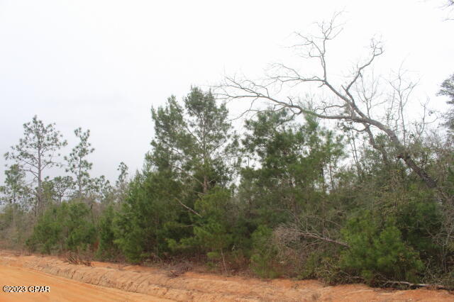 Buckhorn Creek - Land