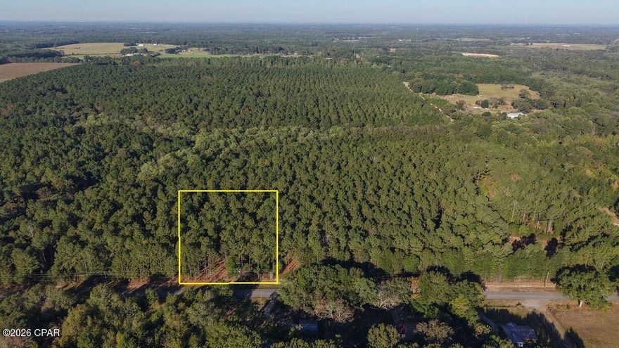 The time is right to own buildable land in Northwest Florida. This attractive lot offers flexibility for a wide range of residential or investment plans. You may also want to ask your listing agent about additional lots with three size options available while they last.  Available lot sizes will be 0.74 acre, 1.54 acres, or 2.31 acres. Whether you're looking to build a primary residence, a weekend retreat, or hold land for future use, these properties provide the space and setting to bring your vision to life. Each lot features paved road frontage, ensuring easy access year-round and power and water are available roadside. With gently usable terrain and ample room for homes, workshops, or outdoor living spaces, these parcels are well suited for a variety of layouts and lifestyles. Location is one of this property's strongest advantages. Situated near town, you'll enjoy the peace of a more rural setting without sacrificing everyday convenience. Major thoroughfares are close by, and beautiful Lake Jackson is just minutes away. Don't miss out and give us a call today.