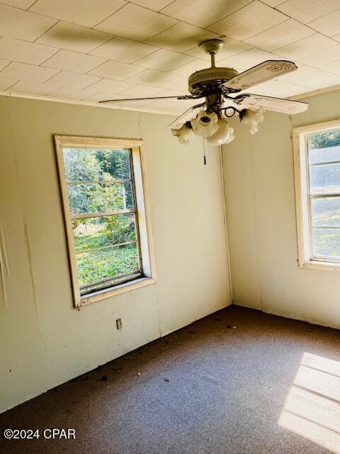 Hagerman Addition - Residential