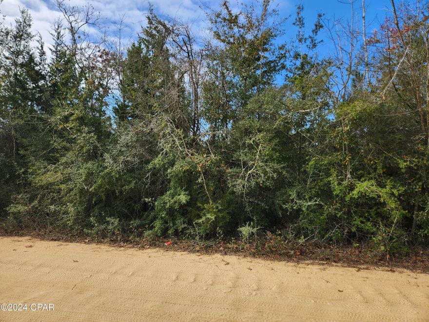 Great private land only a short drive from Panama City Beach and Panama City international airport.  Beautiful trees and plenty of room to build your dream home.