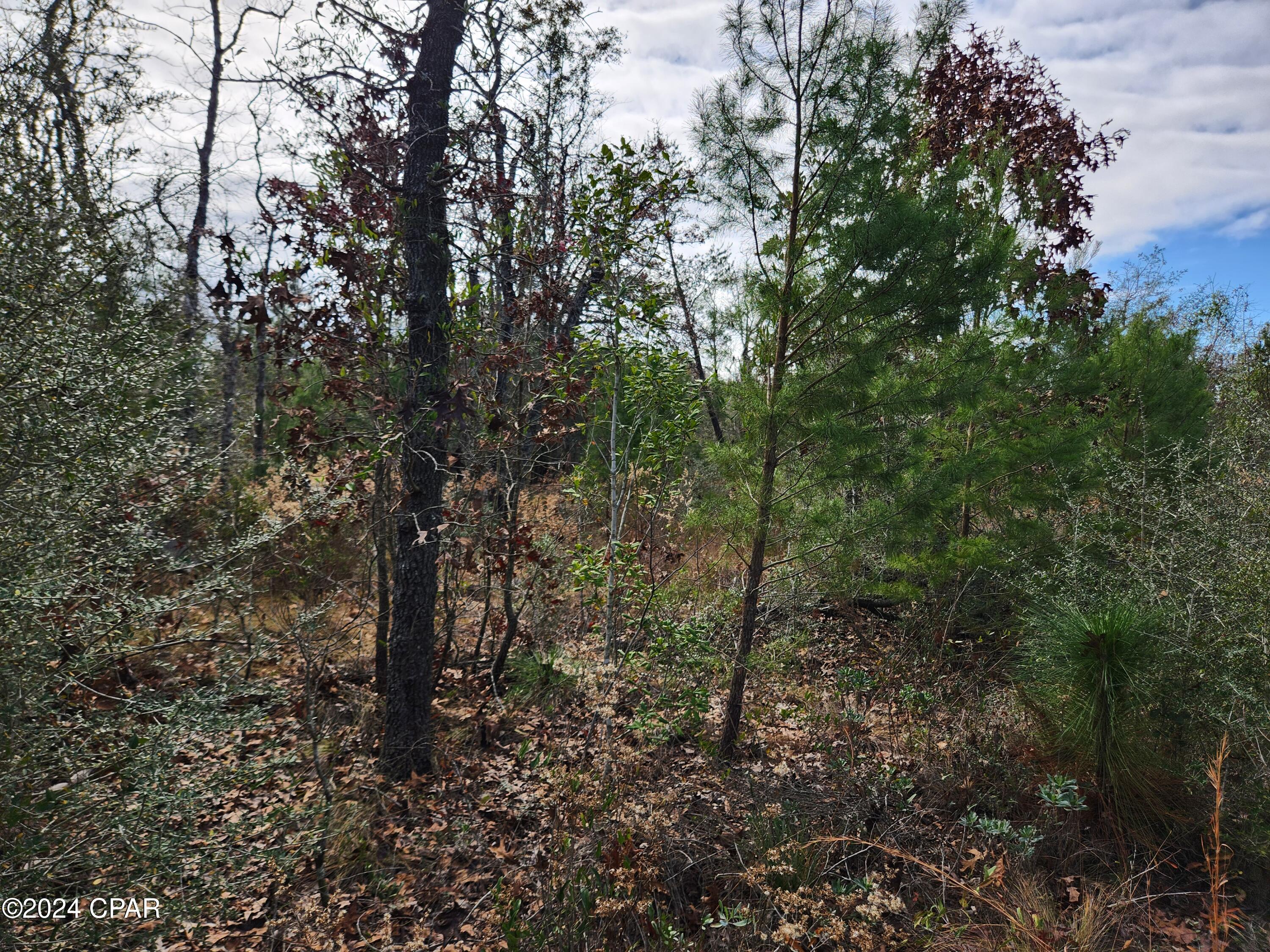 No Named Subdivision - Land