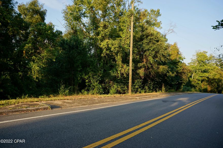 Rare 3+ acre lot near town! This large residential lot spans the length of a city block with access from Hickory Street or Preston Street.  Located just off of Main Street in Chattahoochee, your new home site is minutes to town! City utilities available. Call to tour today!