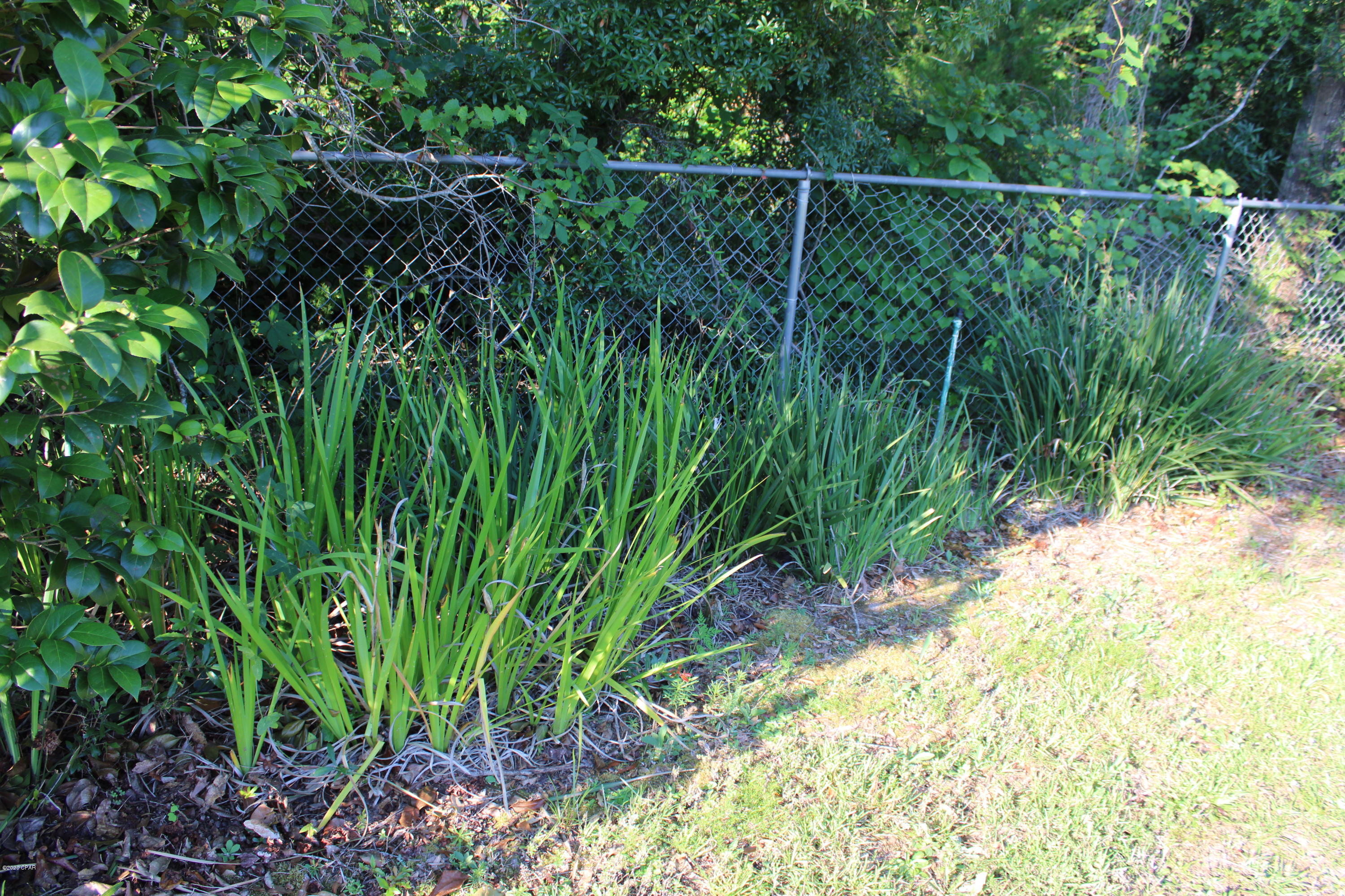 Indian Springs - Residential