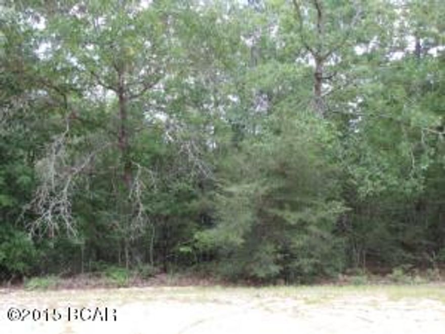 A pretty 1+ Acre Lot just 1/4 mile off paved road and just 1 mile from the Main Lodge on Compass Lake. This lot has Plenty of Level Area for a building site surrounded by nice trees and gently sloping to the South at the back. Only 15 minutes South of Interstate 10 and just about 40 minutes North of Panama City for Shopping, Restaurants, Entertainment, and Beautiful Gulf Beaches. As an owner in this development, you have access to Private McCormick Lake for Swimming, Fishing, Canoeing, Kayaking, etc. as well as the Main Lodge over on Compass Lake with Swimming Pool, Tennis Courts, Horseback riding, etc. Come enjoy the Quiet Peaceful Lifestyle of Compass Lake in the Hills in beautiful NorthWest Florida.
