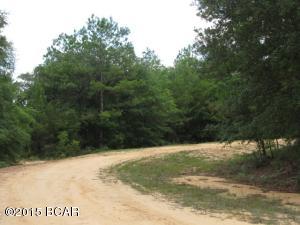 Compass Lake In The Hills - Land