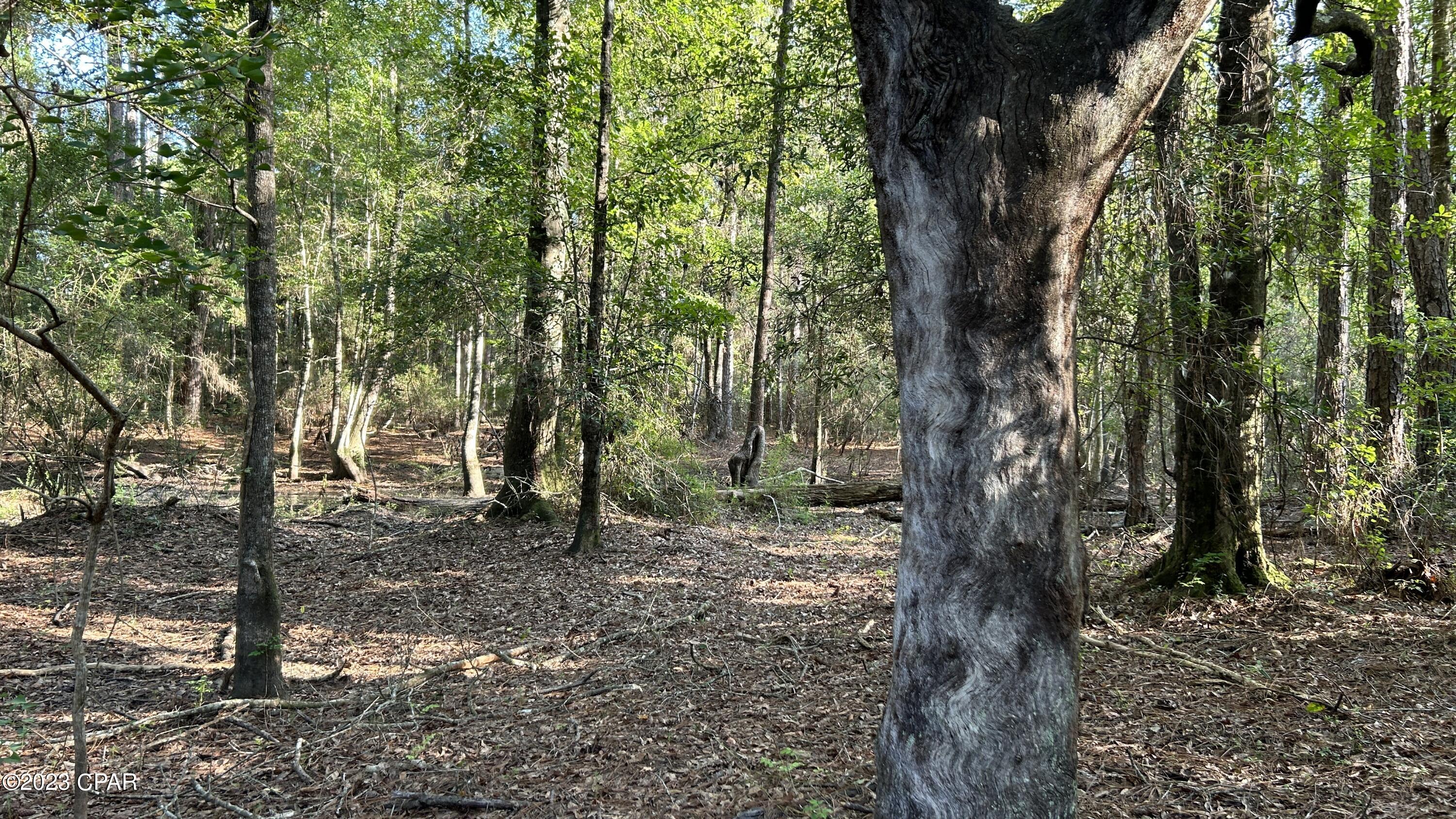 [No Recorded Subdiv] - Land