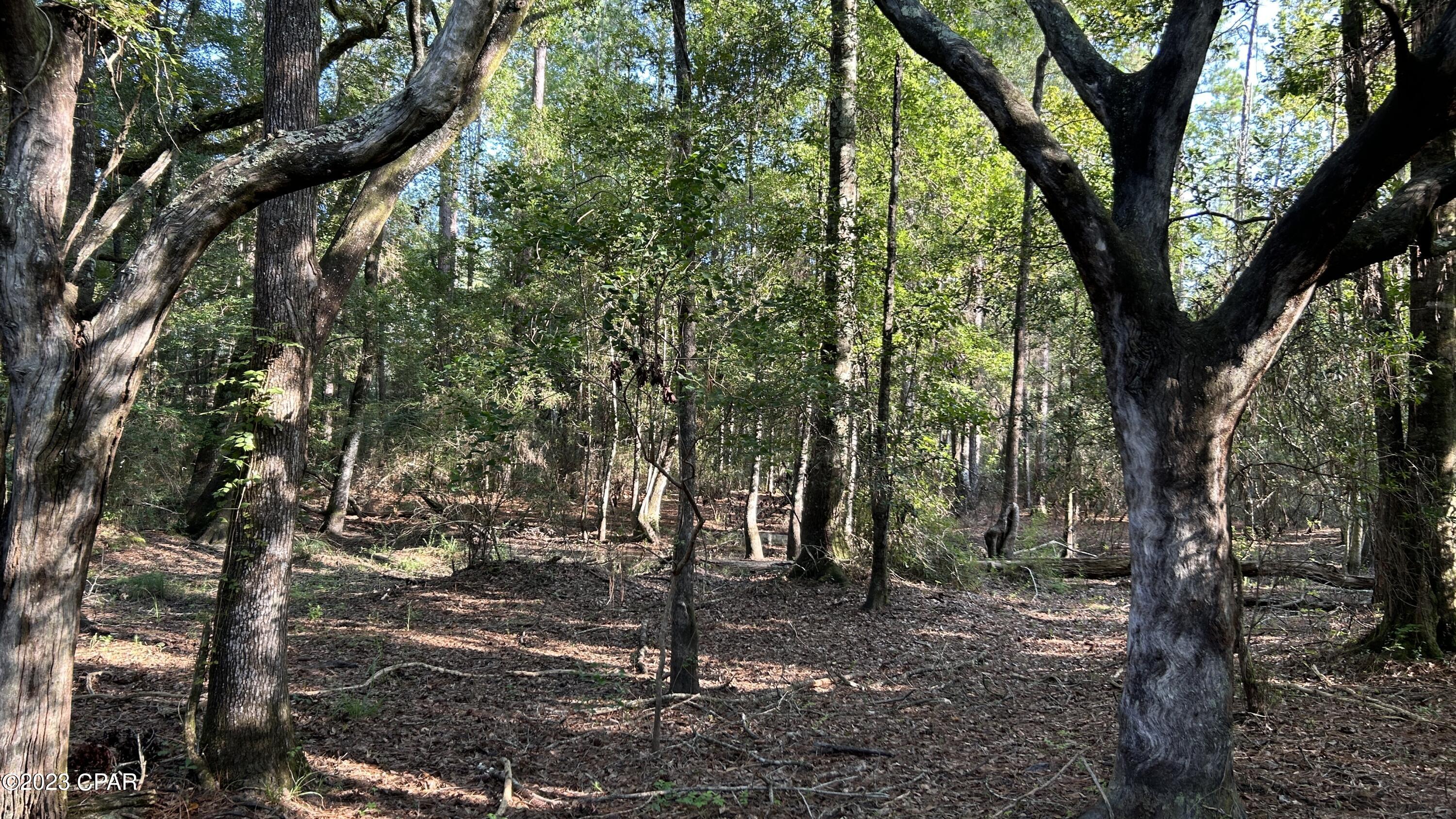 [No Recorded Subdiv] - Land