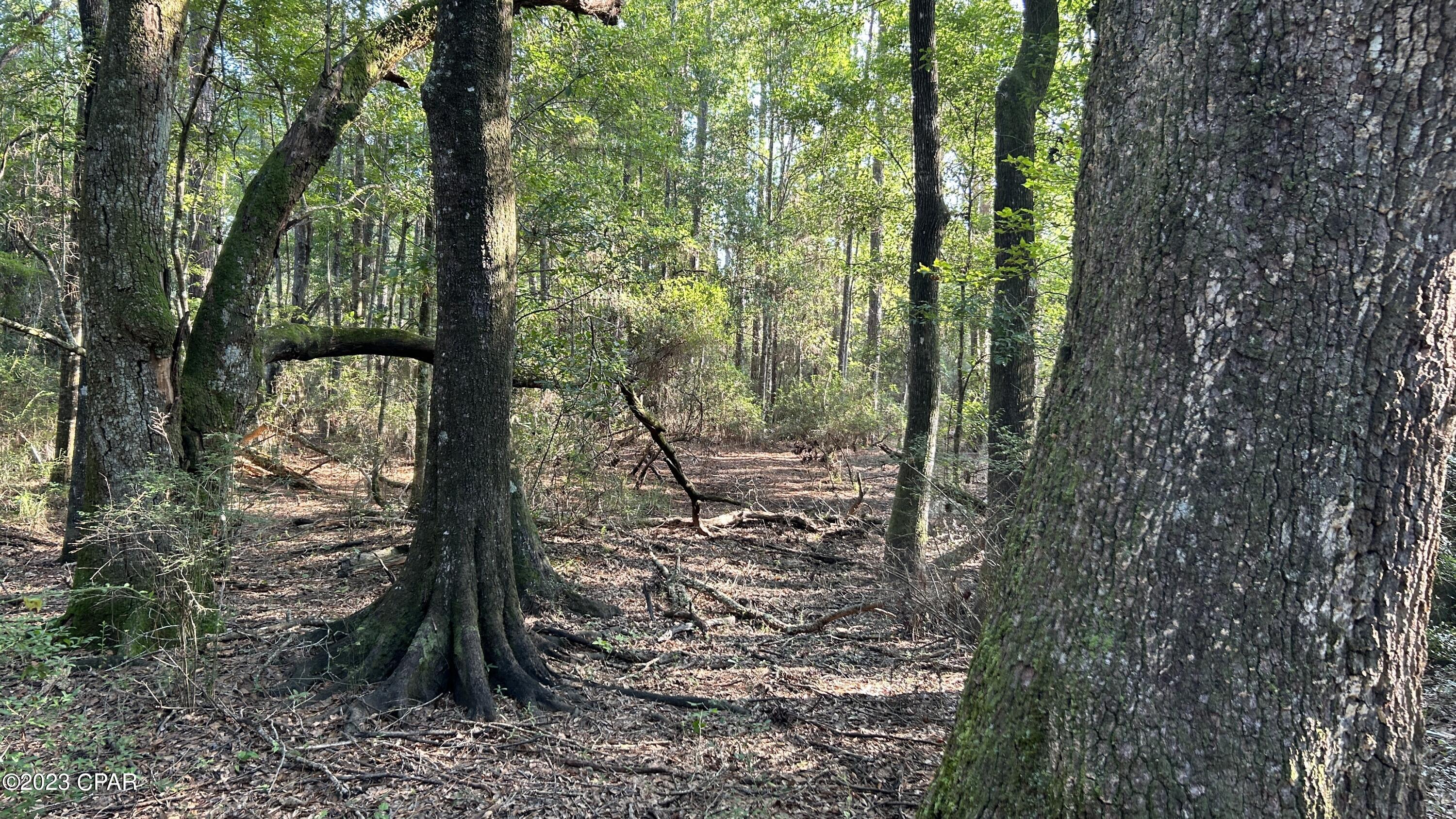 [No Recorded Subdiv] - Land