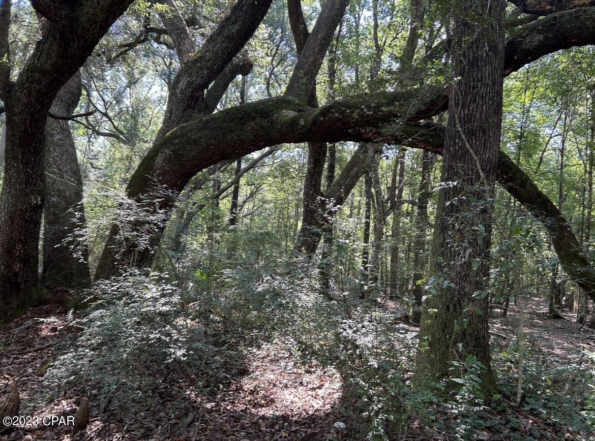 [No Recorded Subdiv] - Land