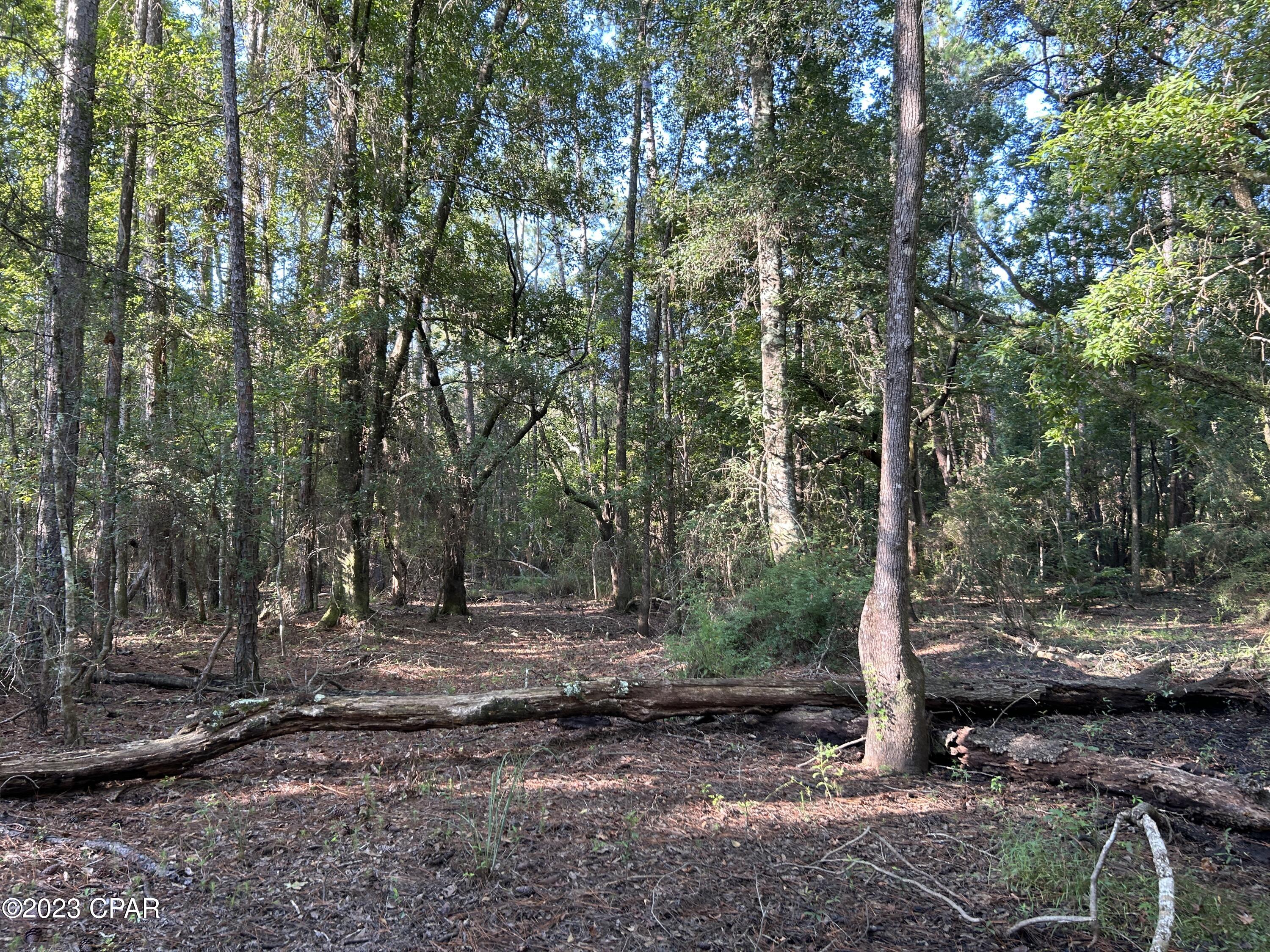 [No Recorded Subdiv] - Land