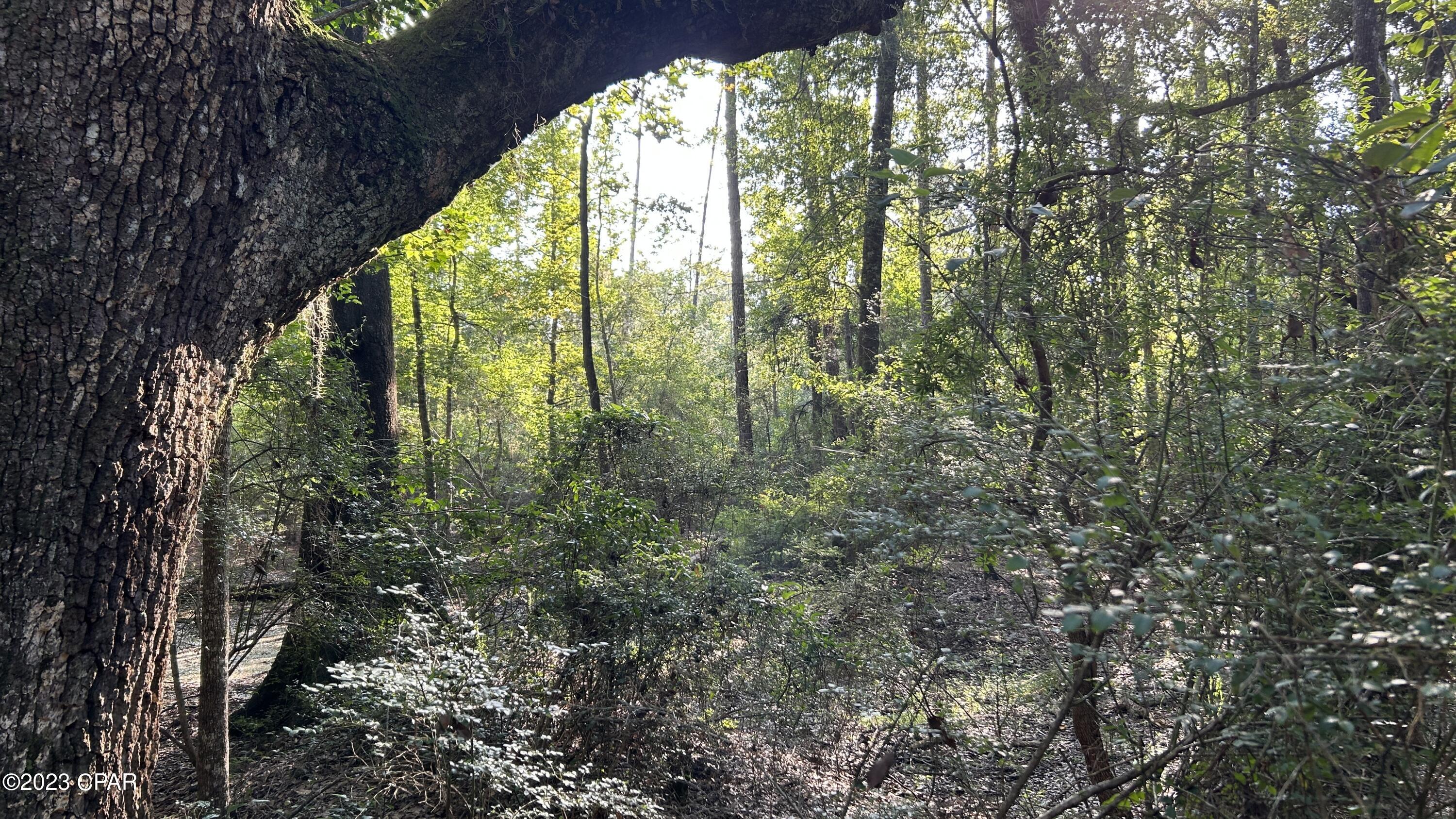 [No Recorded Subdiv] - Land