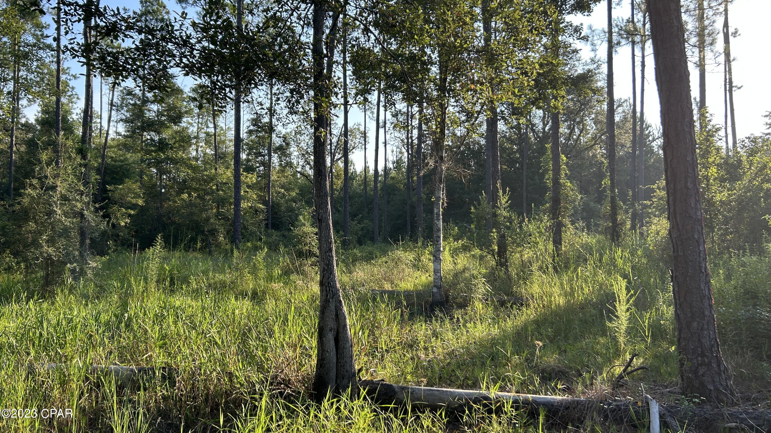 [No Recorded Subdiv] - Land