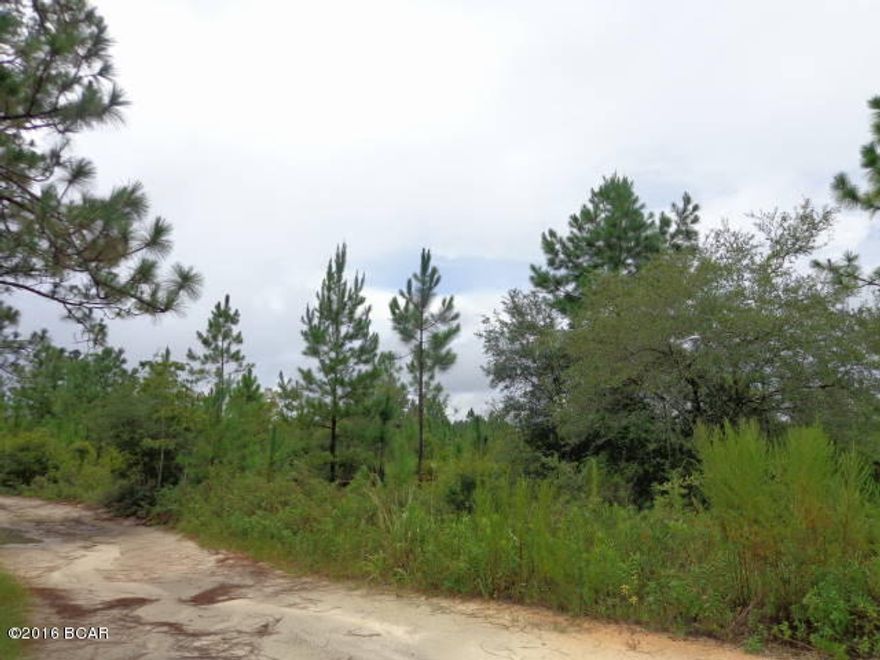 10 Acres wooded. Deeded easement to property. Make it your hunt camp or full time residence. Additional acreage available for purchase. Seller will provide survey and new legal description.