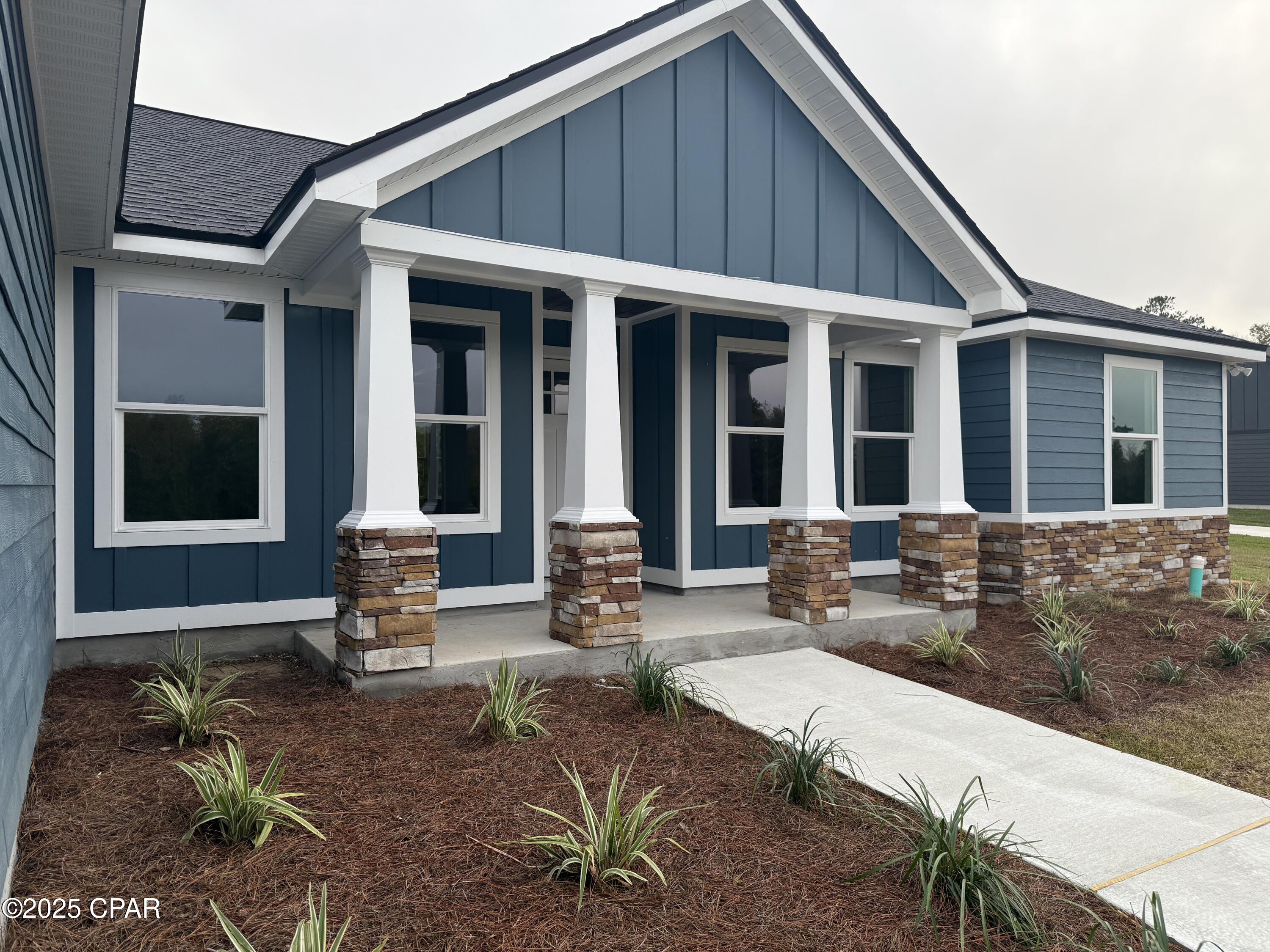 Cypress Tree - Residential