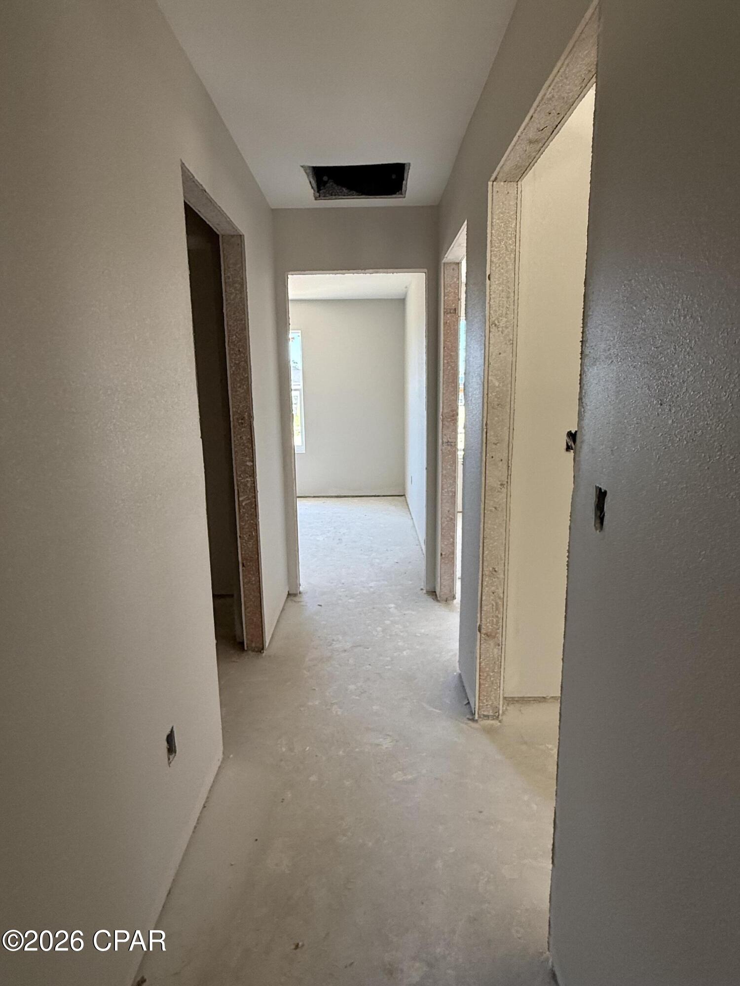 Cypress Tree - Residential