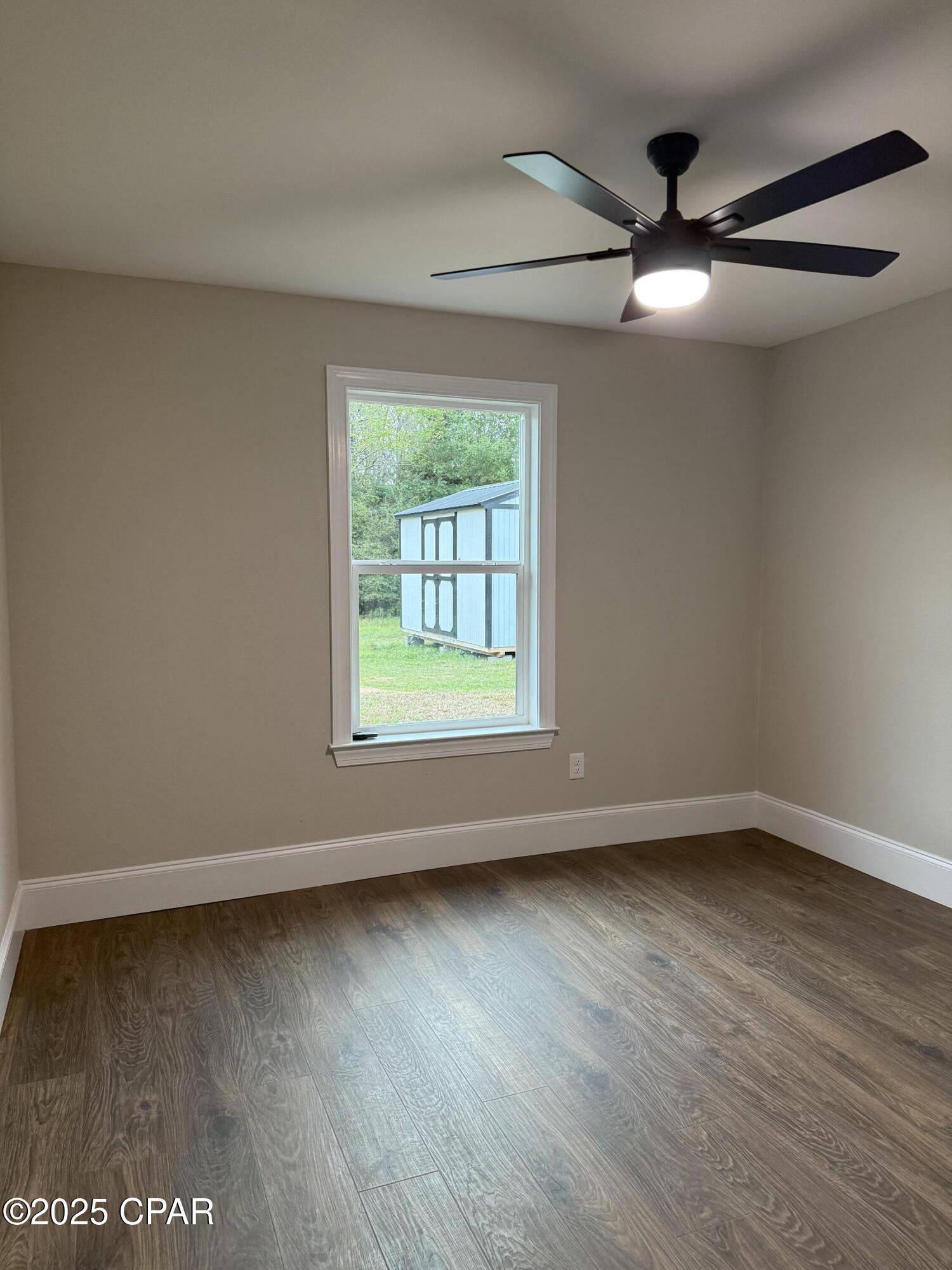 Cypress Tree - Residential