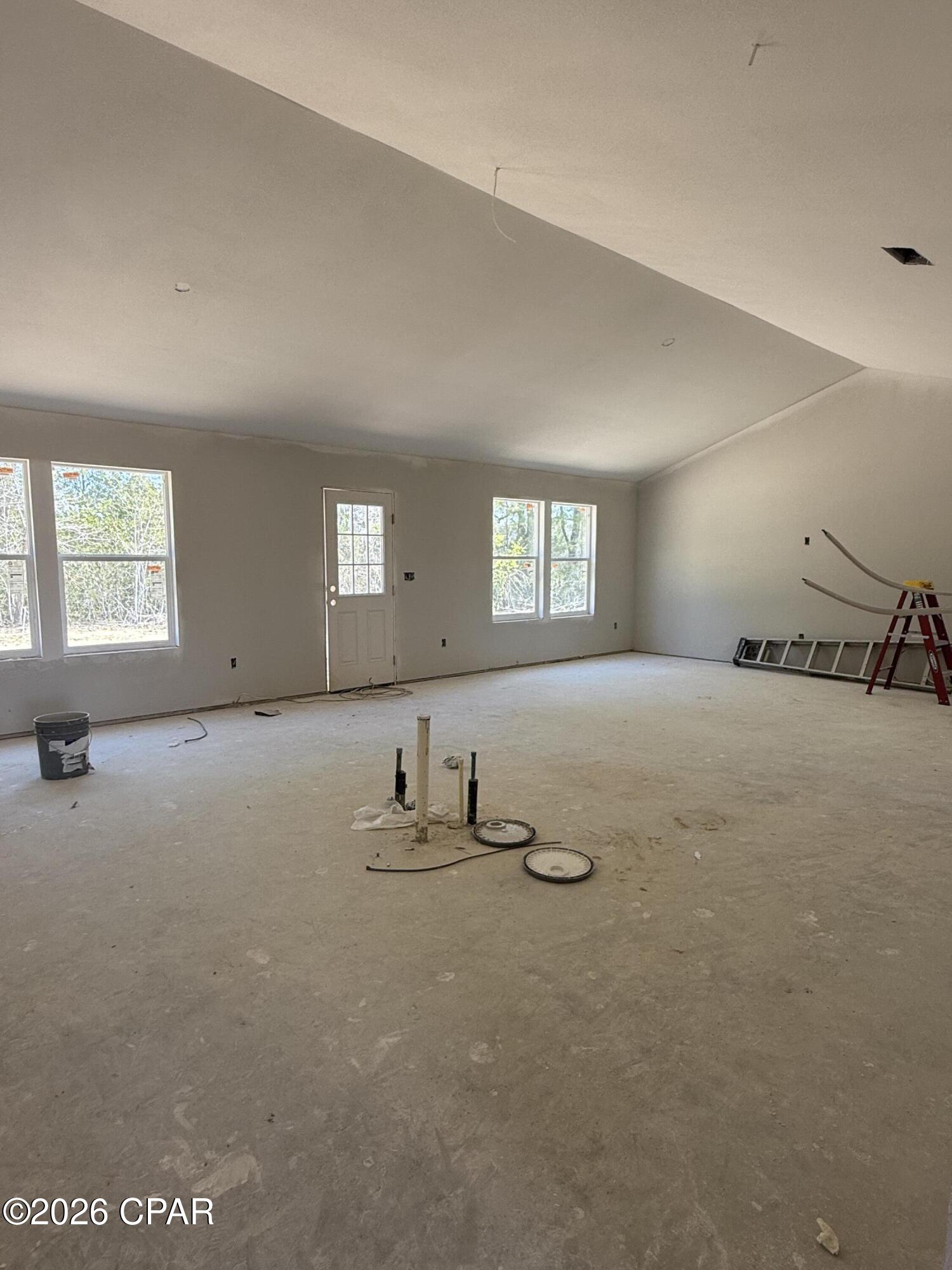 Cypress Tree - Residential