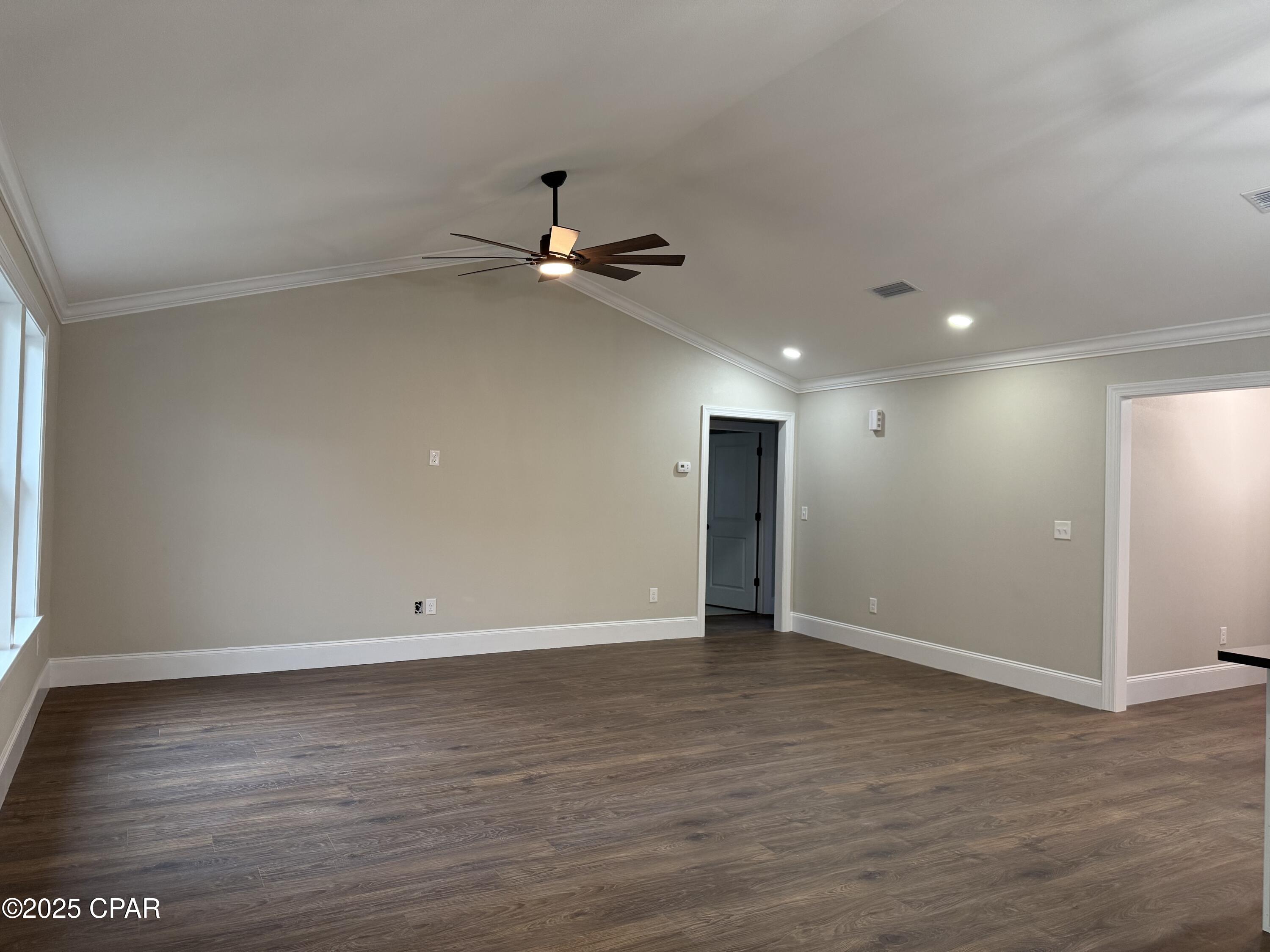 Cypress Tree - Residential