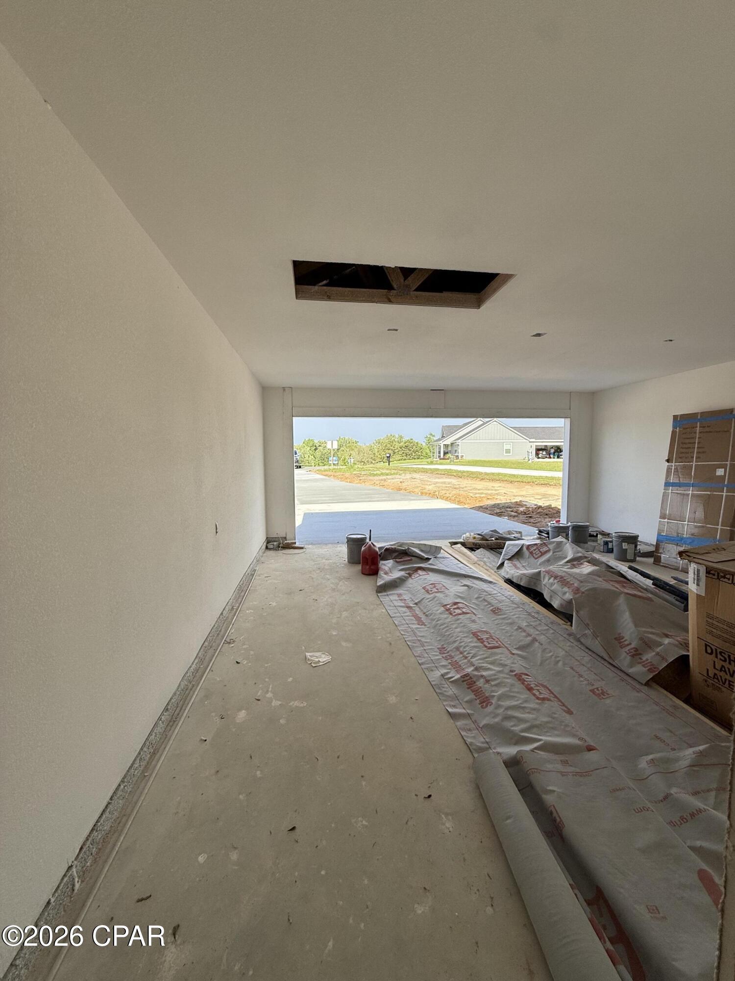 Cypress Tree - Residential