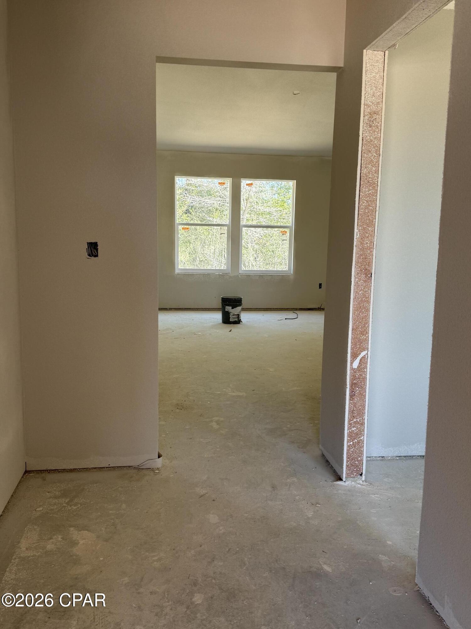 Cypress Tree - Residential