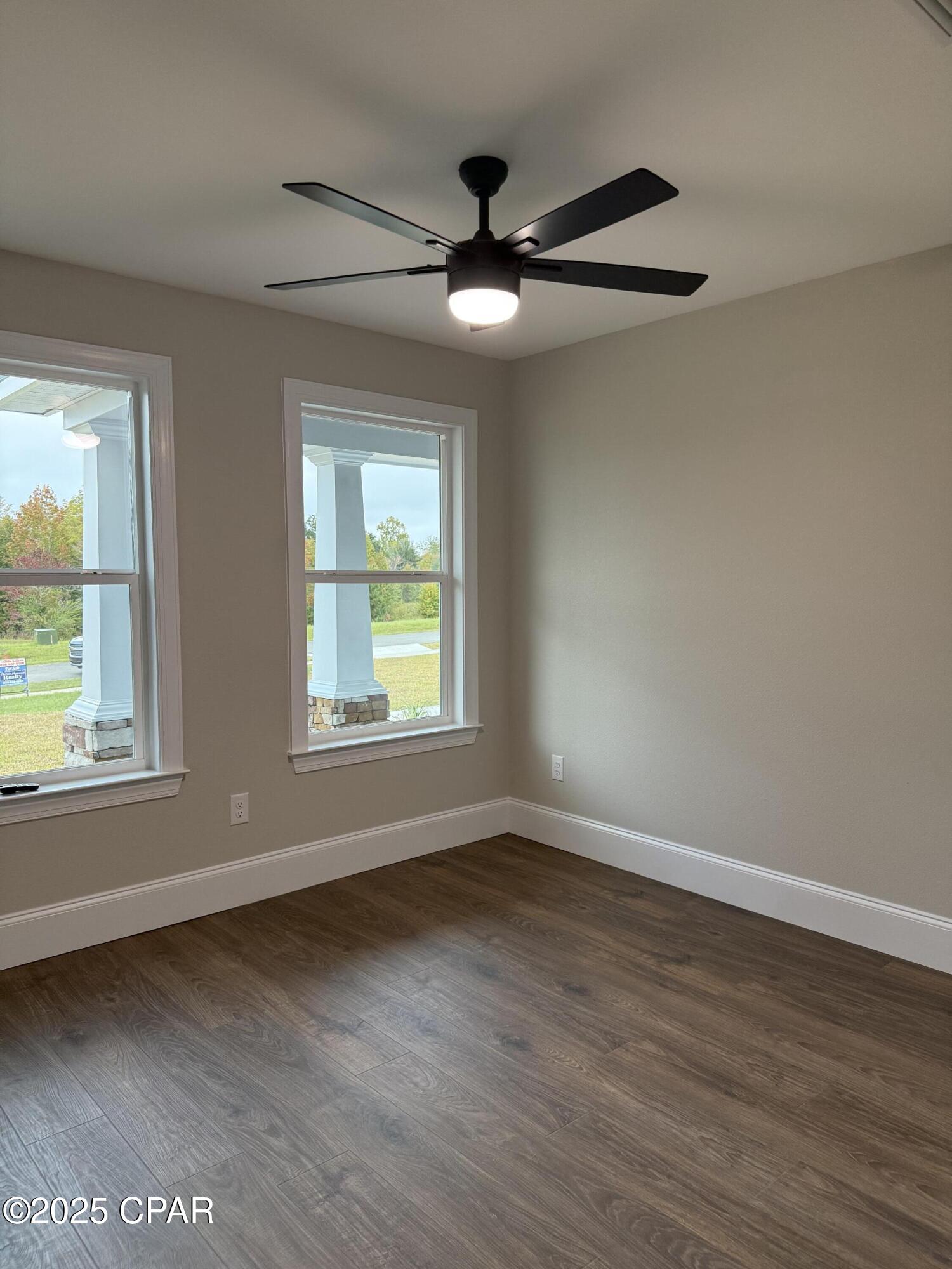 Cypress Tree - Residential