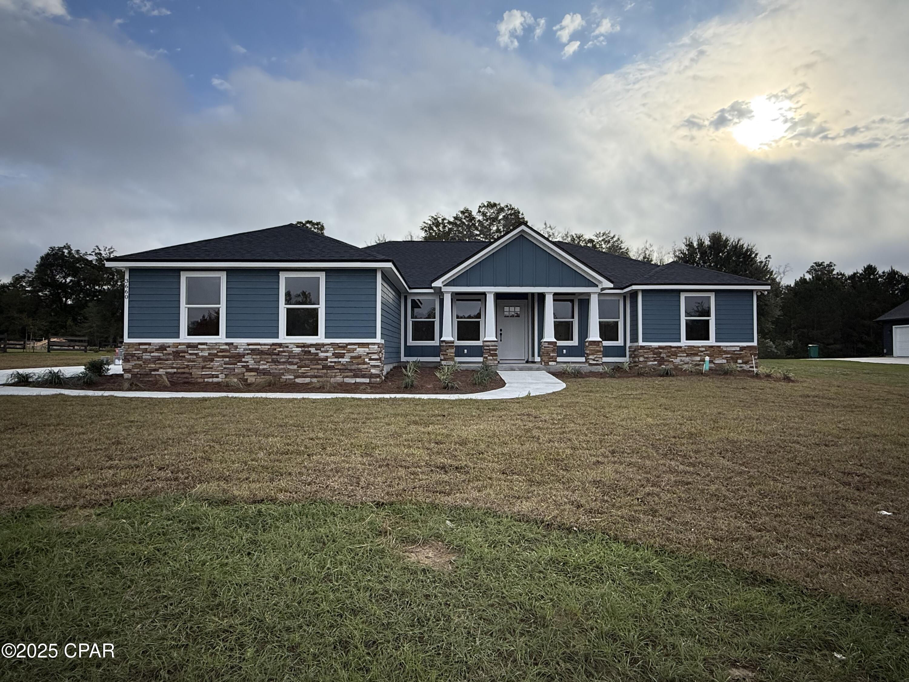 Cypress Tree - Residential