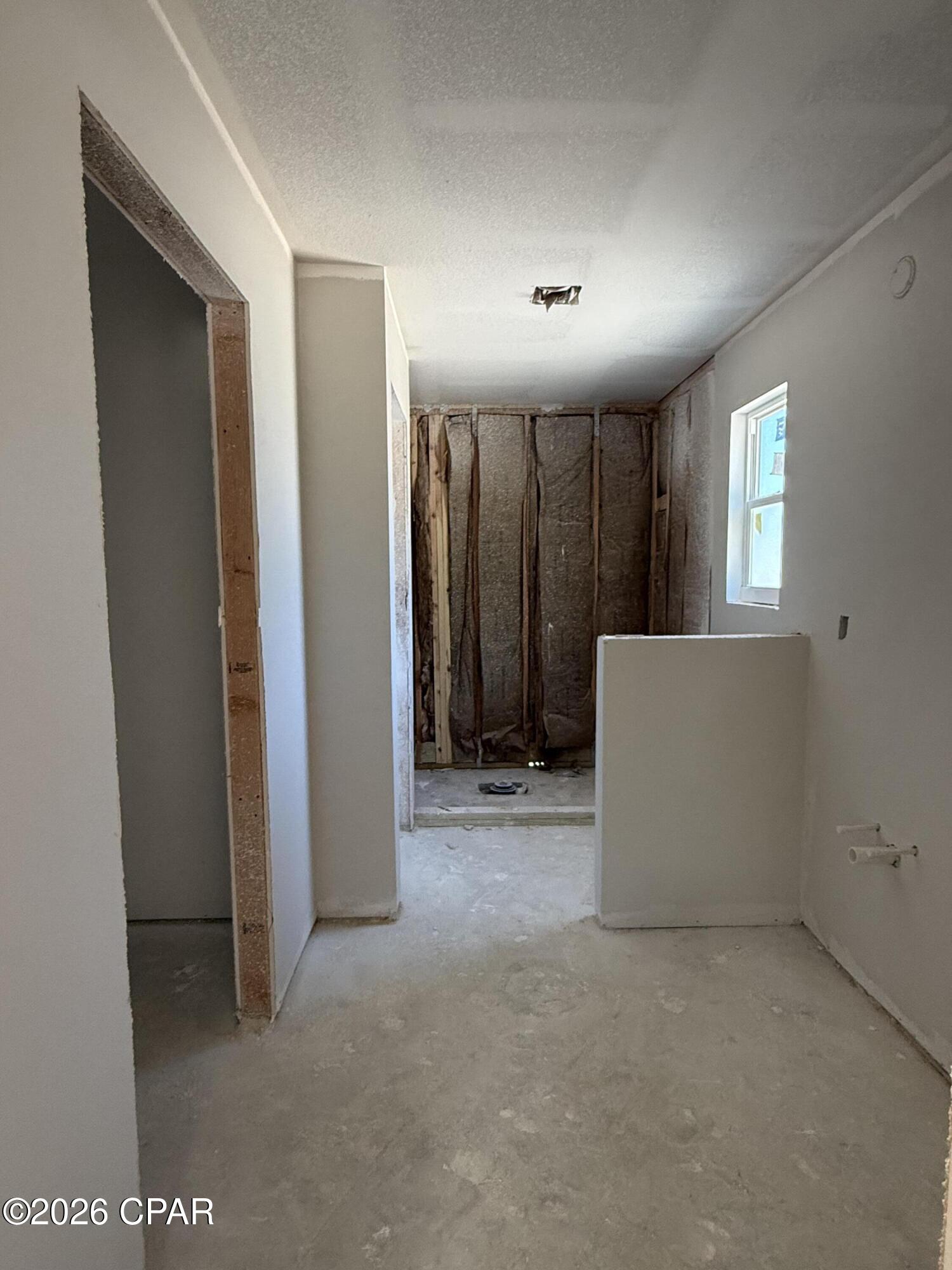 Cypress Tree - Residential