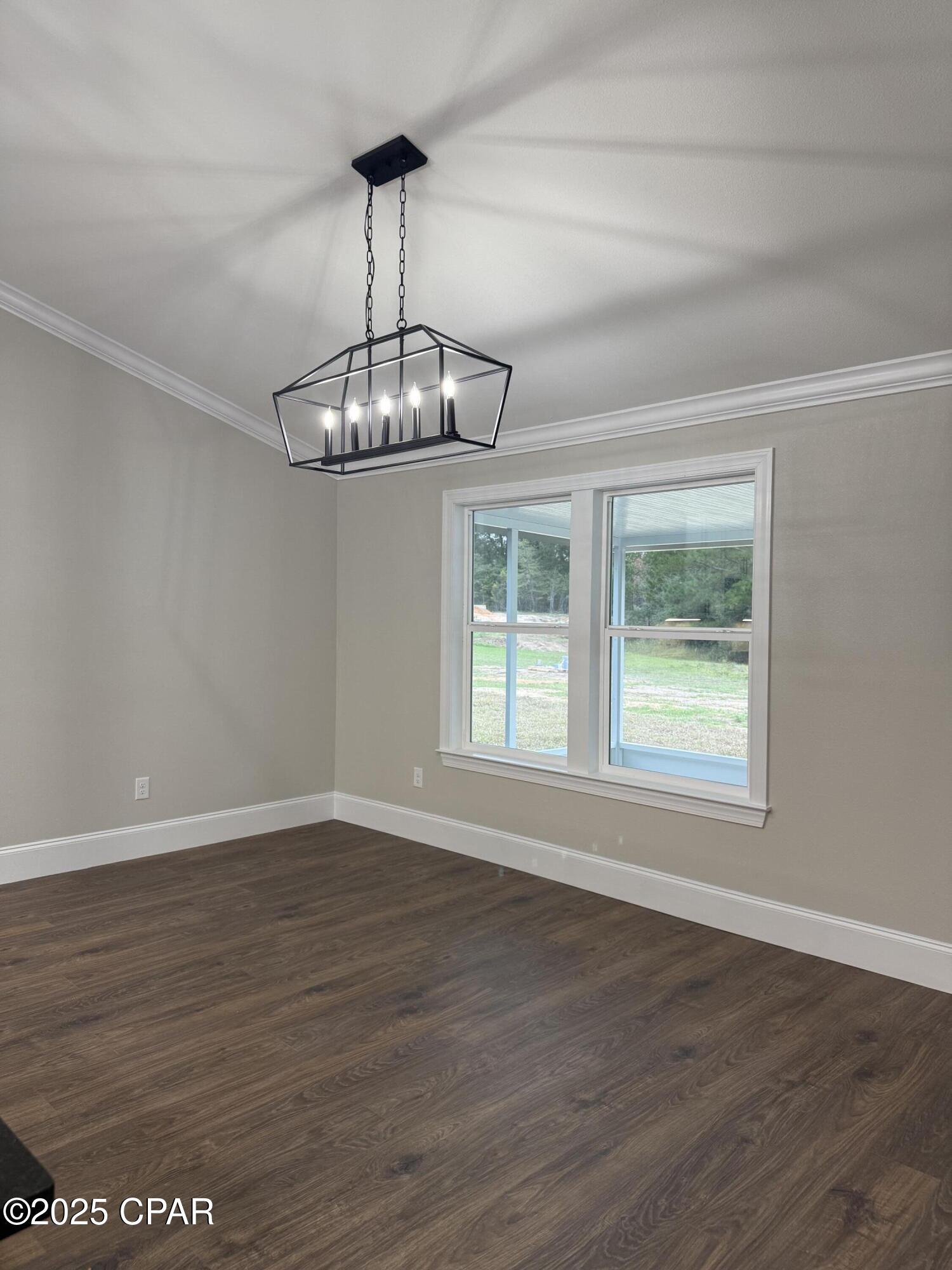 Cypress Tree - Residential