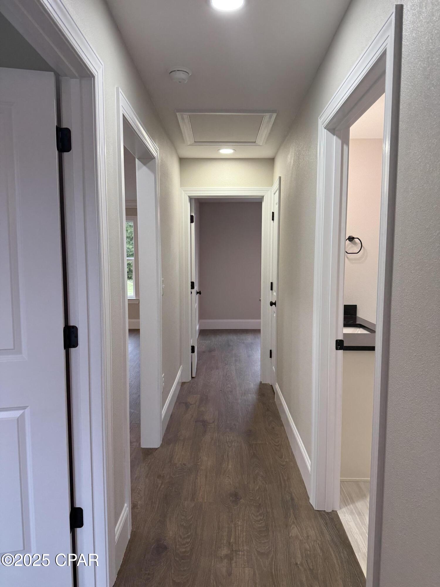 Cypress Tree - Residential