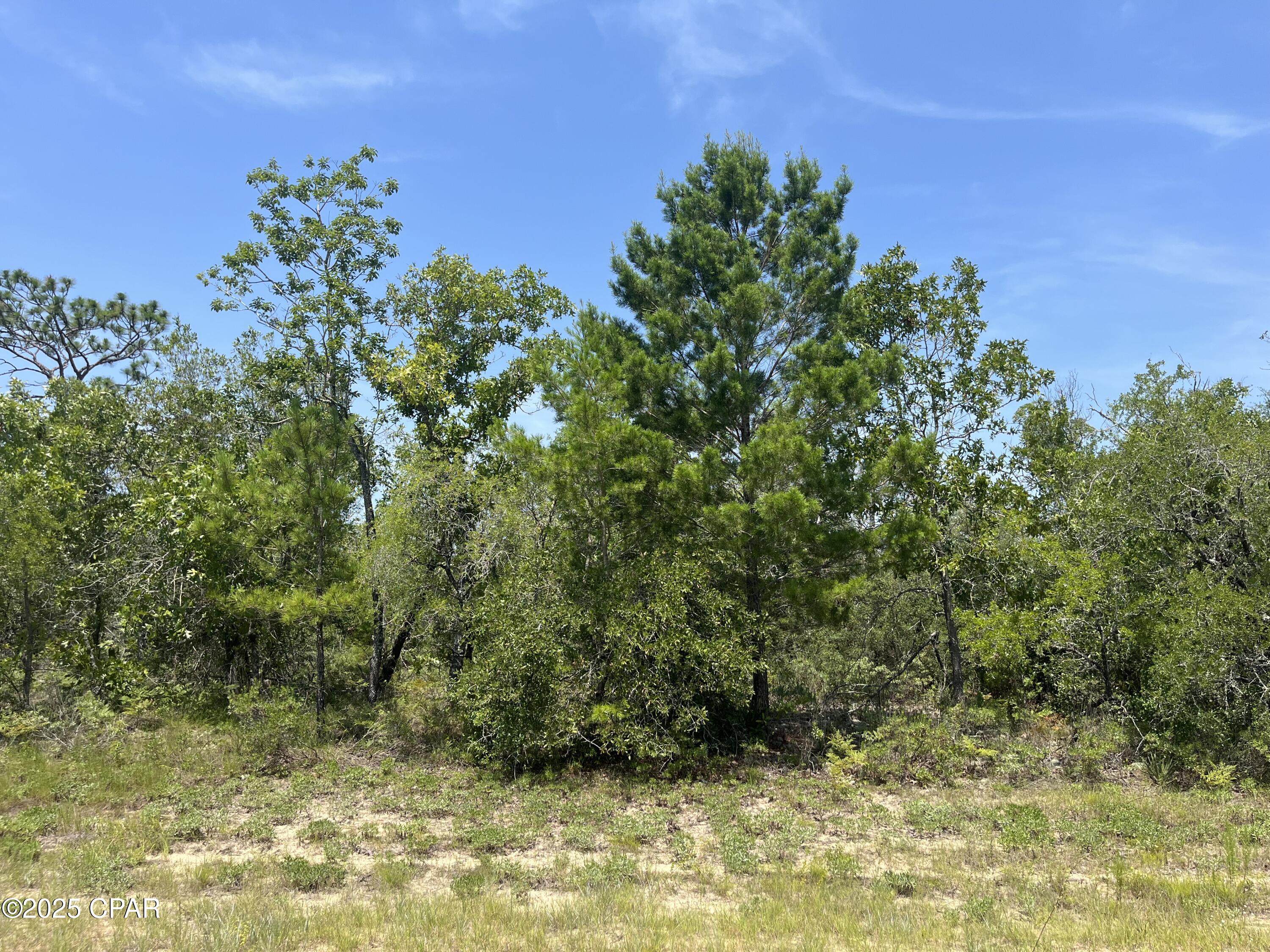 Sunny Hills Unit 8 - Land