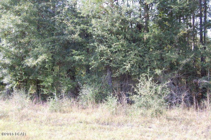 Beautiful wooded corner lot in Sylvania Estates. Deed restrictions apply. No mobile homes.