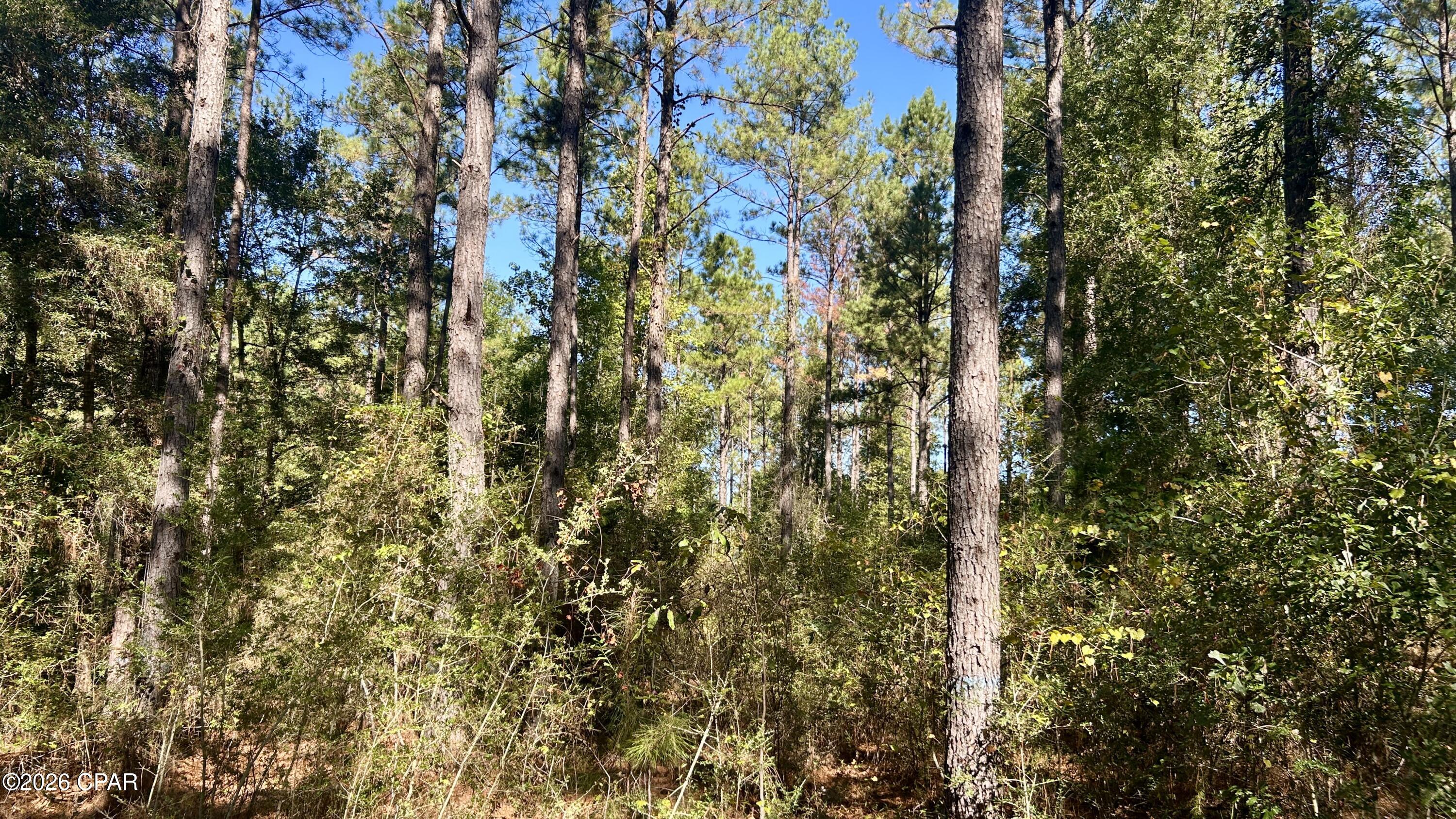 Other - Land