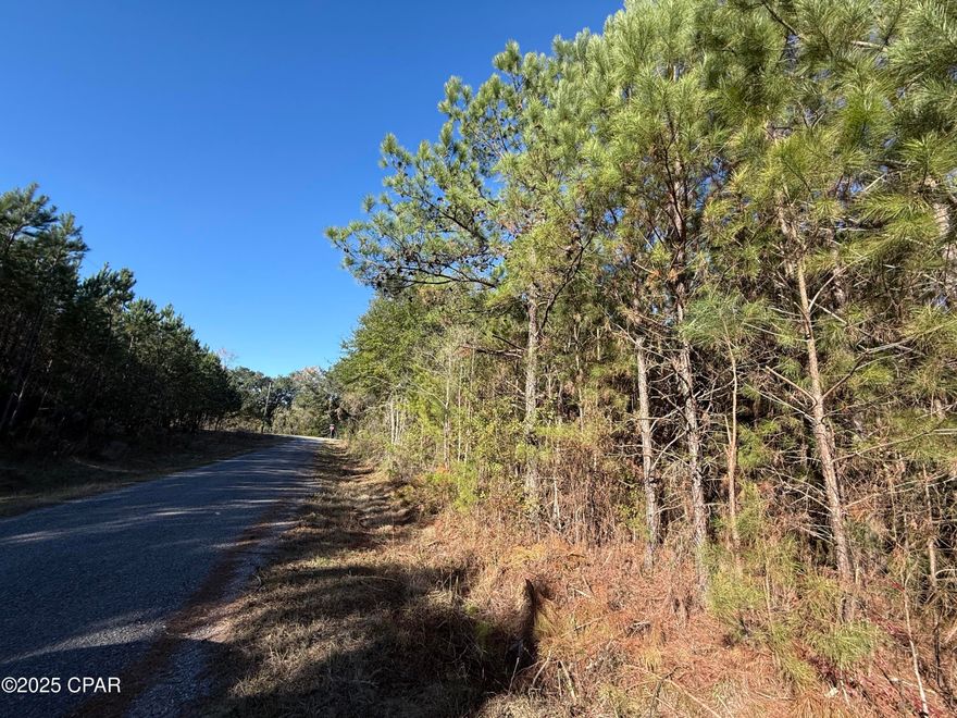 Five acres just out of town on an paved road and adjacent to rail road.  Buyer to verify all information